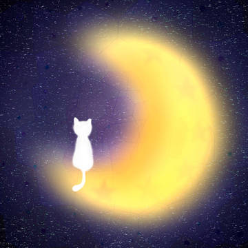 月猫