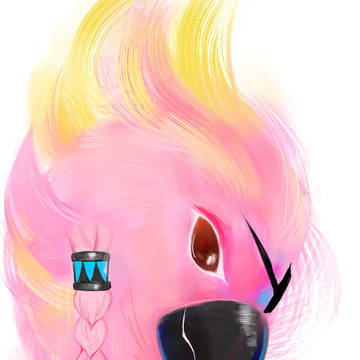 鳥
