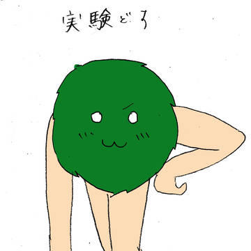 美脚まりも