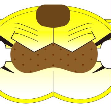 トラ×にく