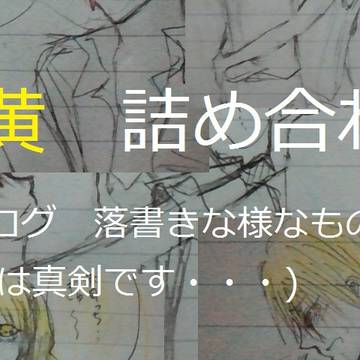 赤黄　詰め合わせ１