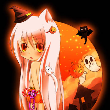 (=^・ｪ･^=)