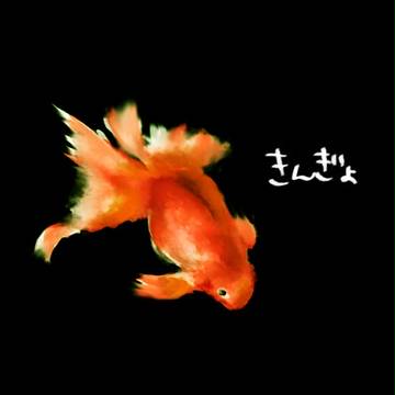 きんぎょ