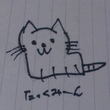 猫!