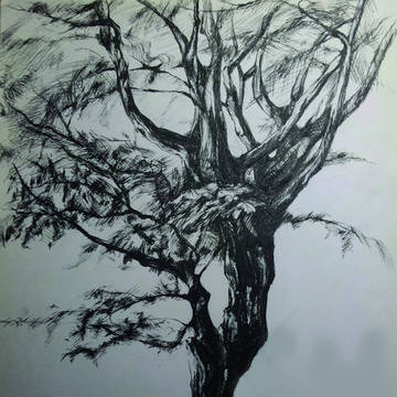 tree
