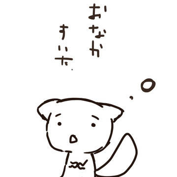 ぬこたん