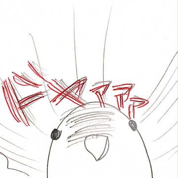 うちの鳥