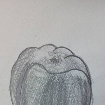 ピーマン　鉛筆