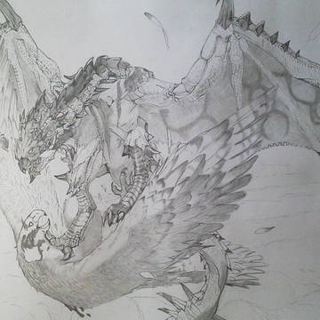【空の王】火竜リオレウス