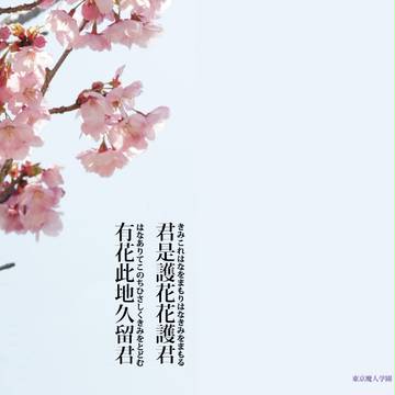 【魔人】君是護花花護君　有花此地久留君【犬京】