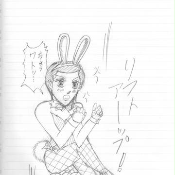 バニほむたん(爆)