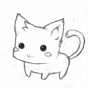 猫♥