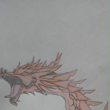 紅竜