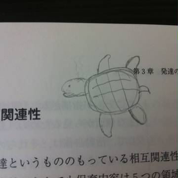 かめ