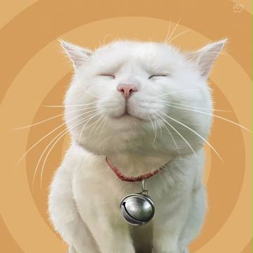 猫叔波一个