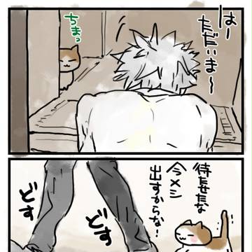 州=ΦωΦ)(Φω▼=) ねこうち！