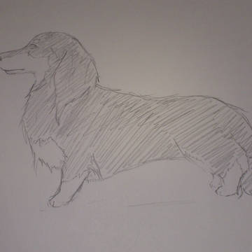 我が家の犬
