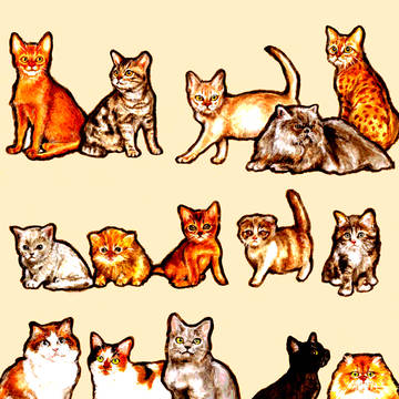 ねここねこねこ