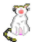 DOTART PRACTICE "cat"