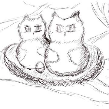 ふくろう（ラフ）