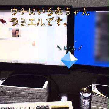 赤ちゃんラミエル