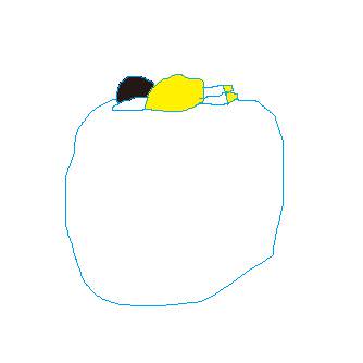 ﾌﾄﾝ