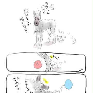 わんしゃふ6と8