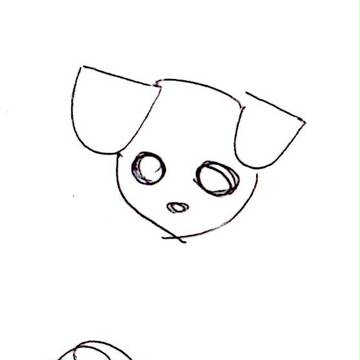 いぬ