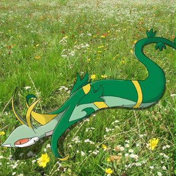 あ！ やせいのジャローダが くさむらから とびだしてきた！