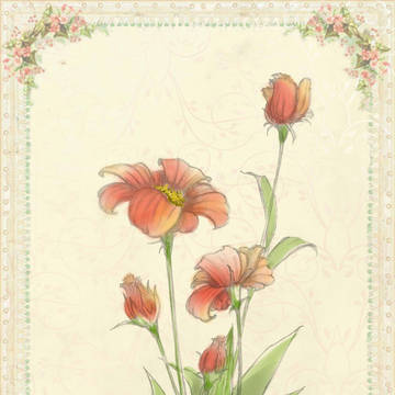 ただの花