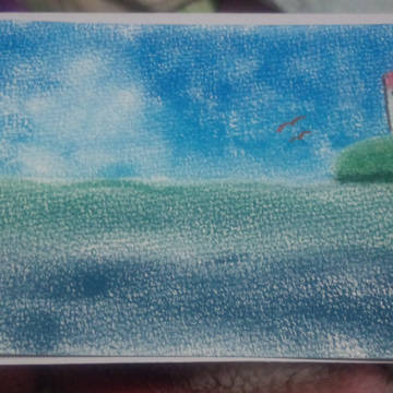 海