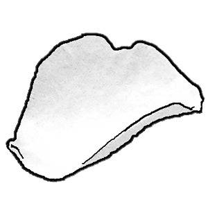 花びら 【素材】