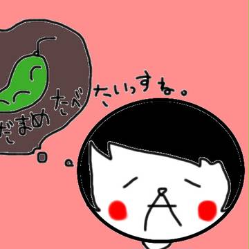 枝豆すきなゆちお