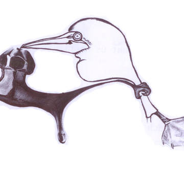 Faucet and boobies