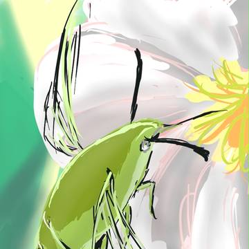 オオスカシバ【落書き】