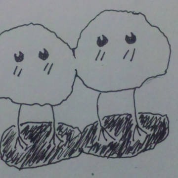 羊