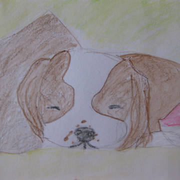 愛犬❤