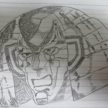 模写