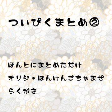 ついぴくまとめ２