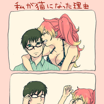 私が猫になった理由