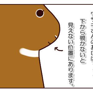 【４コマ】まねっこウサギ