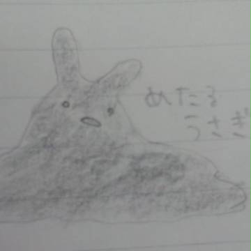 めたるうさぎ