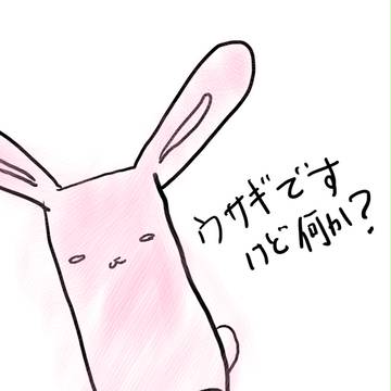ウサギですけど何か？