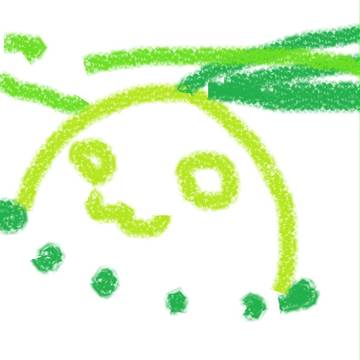 チコリータ