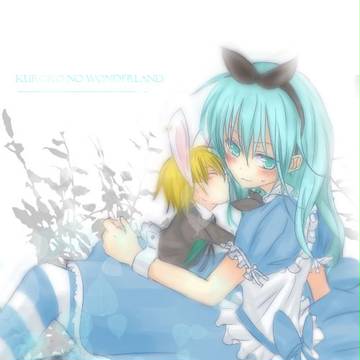 【黒バス】 Alice and Rabbit