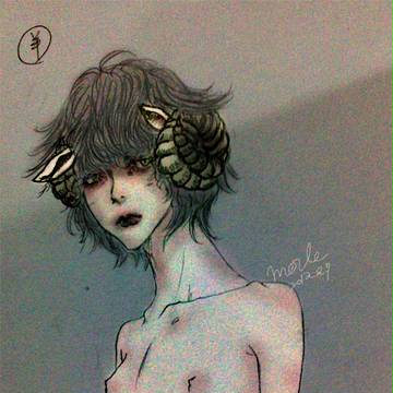 羊