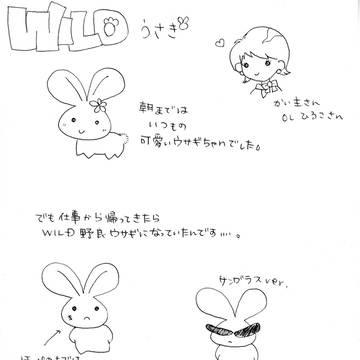 わいるどうさぎ・誕生!