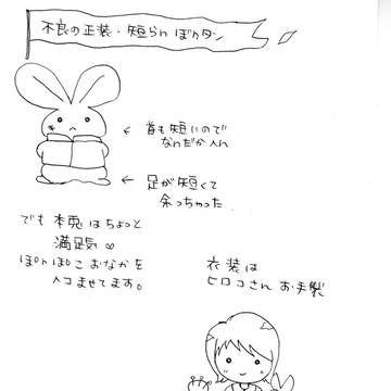 わいるどうさぎ・ファッション編!
