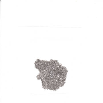 丸