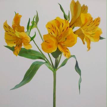 例の花